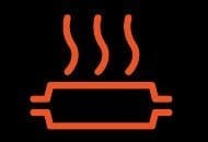 Catalytic Convertor Warning Light