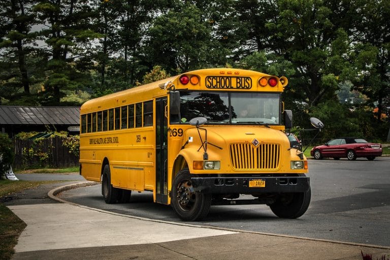 School Bus